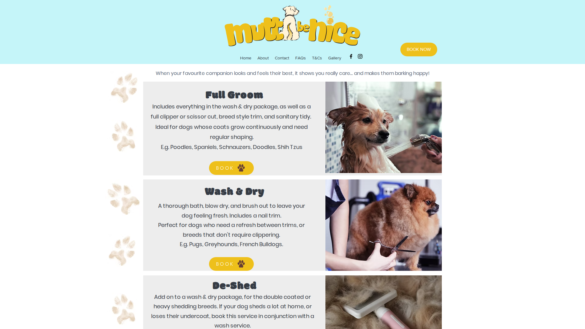 Website snapshot for Mutts Be Nice