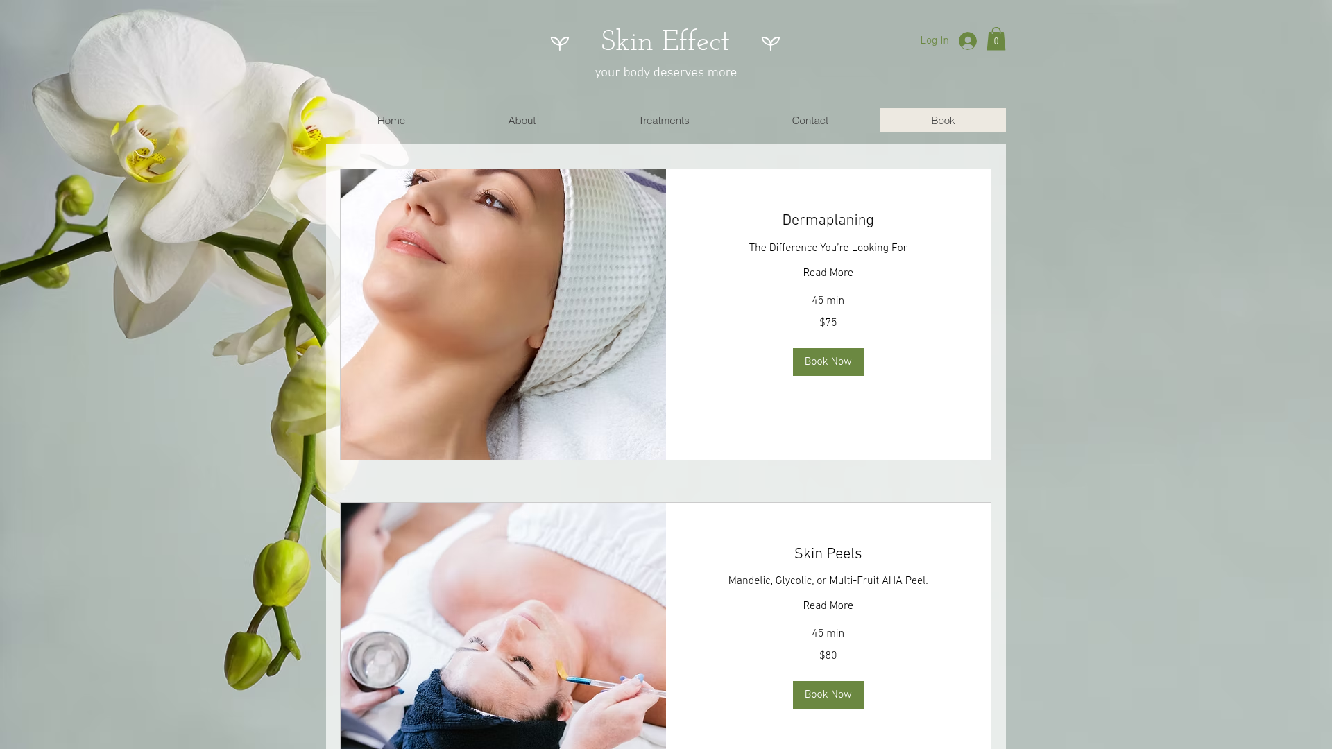 Website snapshot for Skin Effect