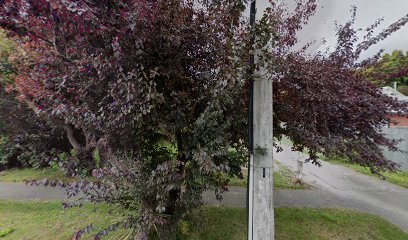 Isolashnz | Lash Extensions