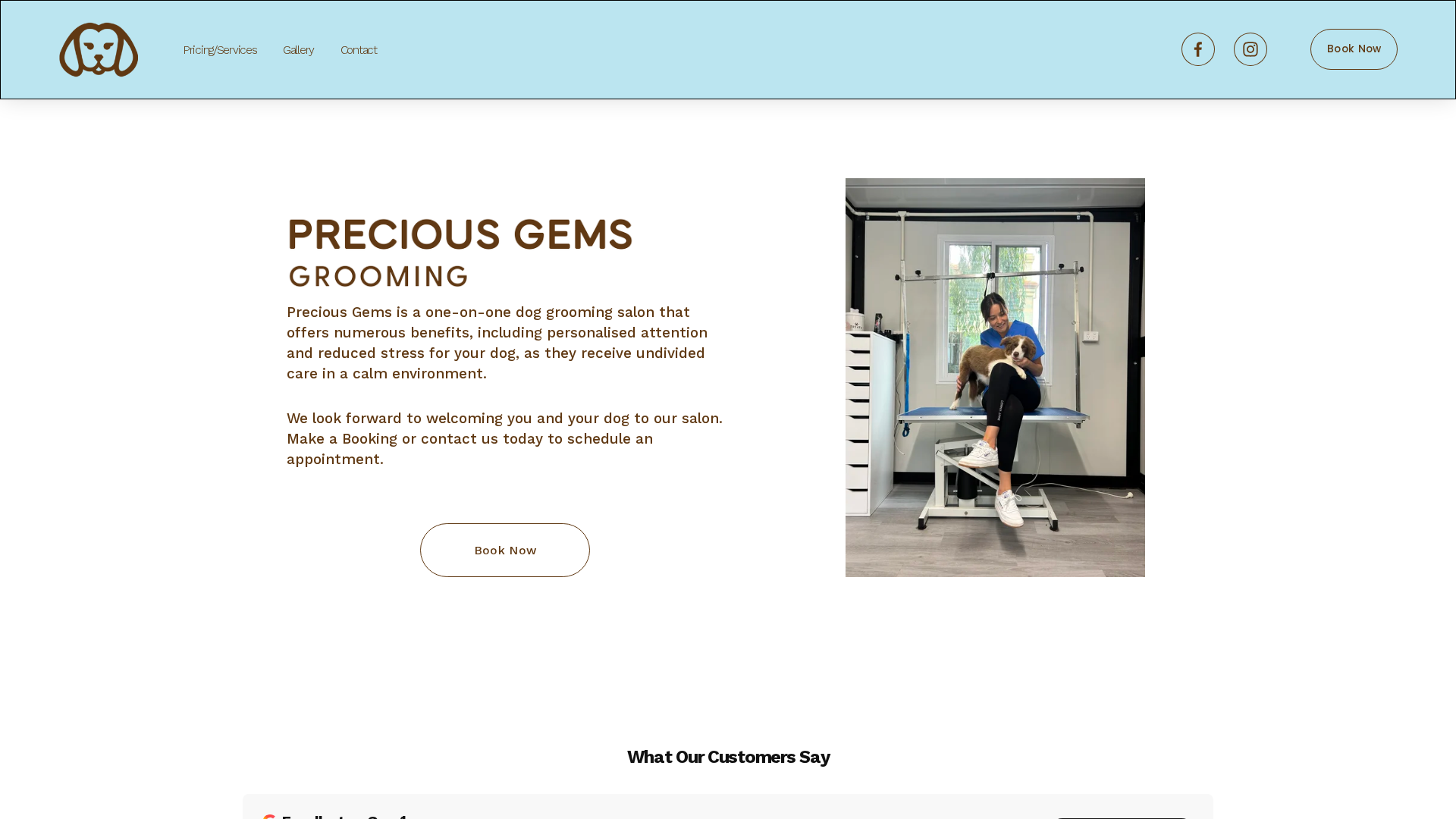 Website snapshot for Precious Gems Grooming