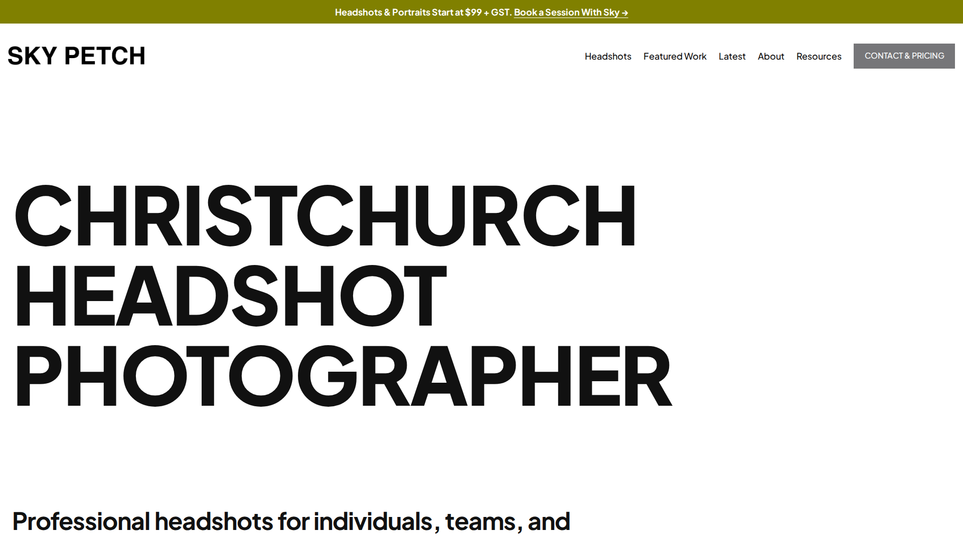 Website snapshot for Christchurch Headshot Photographer