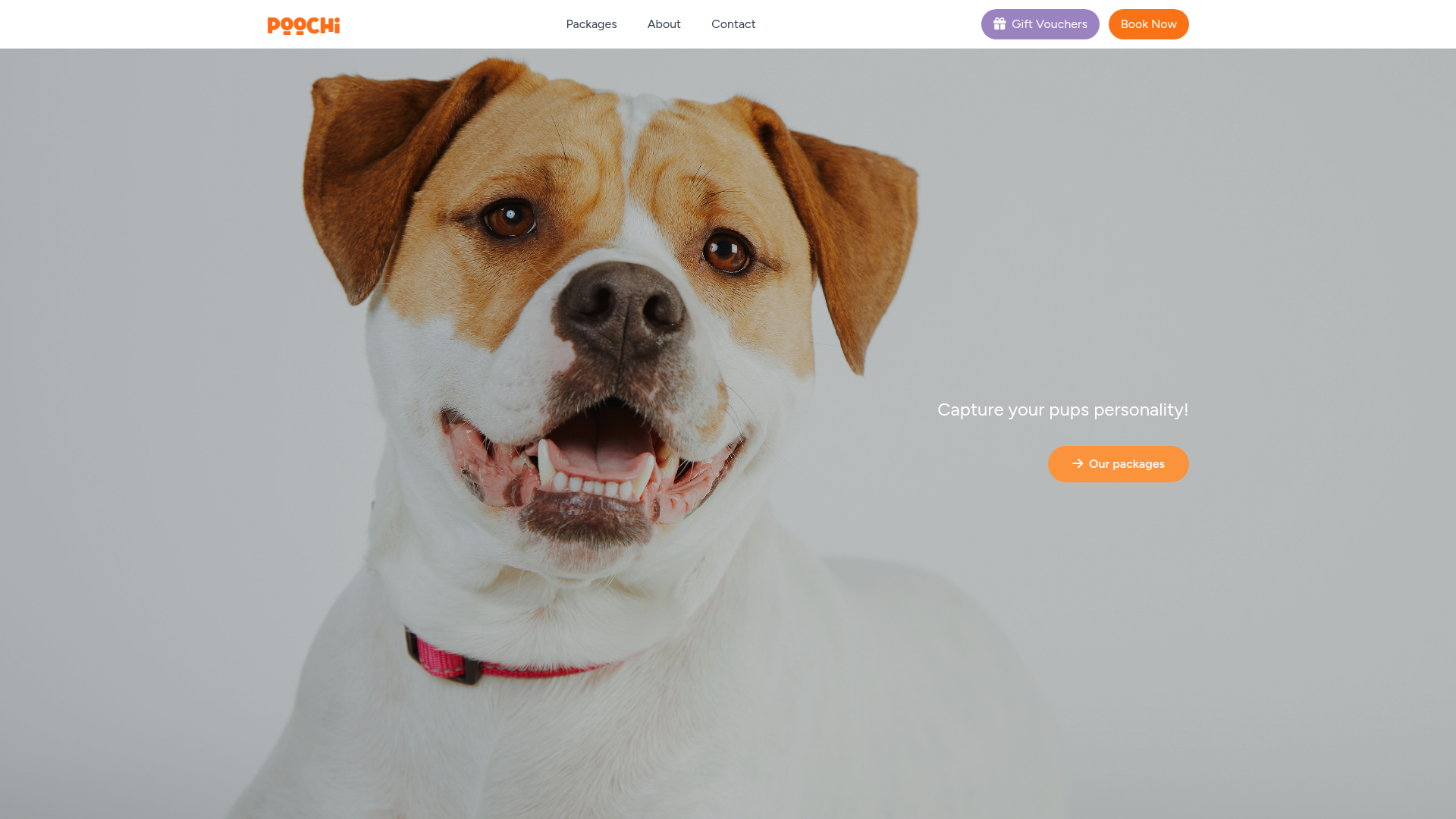 Website snapshot for Poochi Studio - Dog Photographer