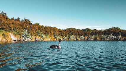 Shutterplay Photography