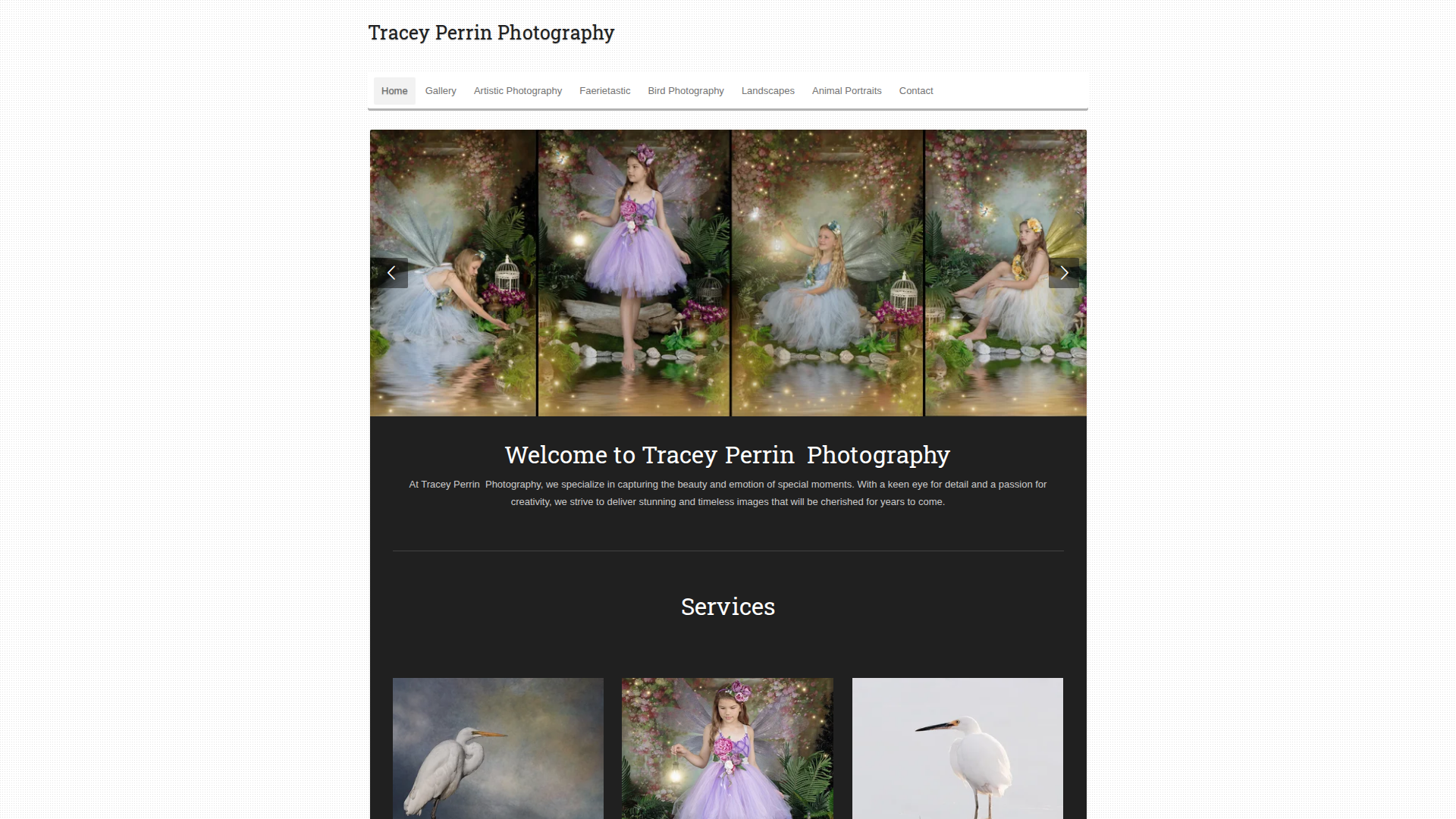 Website snapshot for Tracey Perrin Photography - Faerietastic Portraits