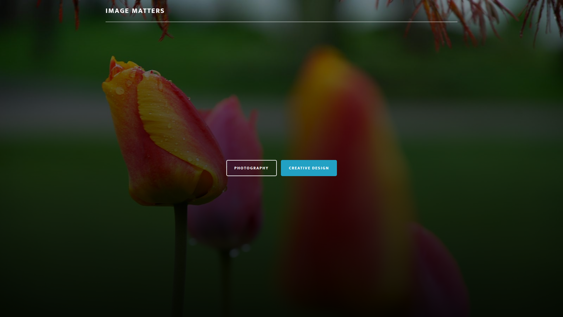 Website snapshot for Image Matters Photography