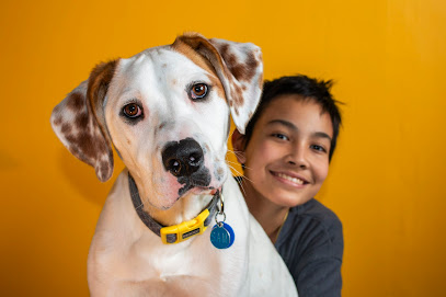 Angelo Damiao Photography