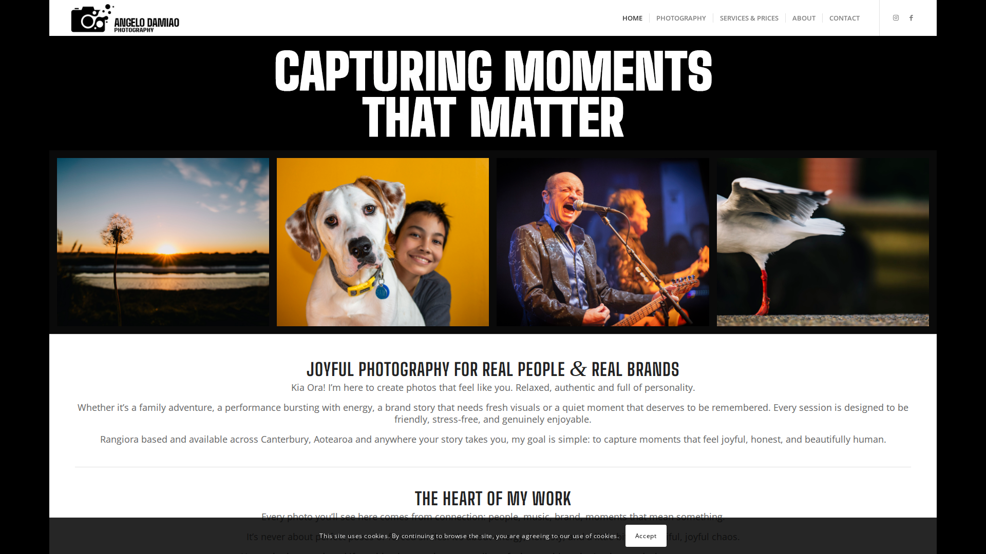 Website snapshot for Angelo Damiao Photography