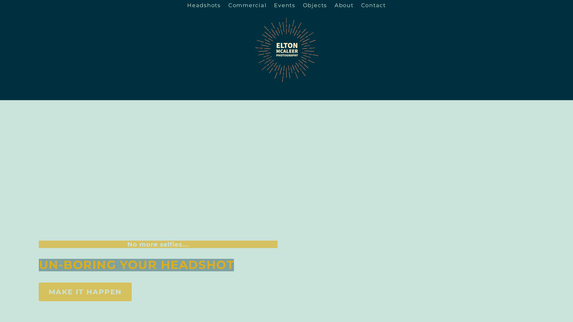 Website snapshot for Elton McAleer Photography