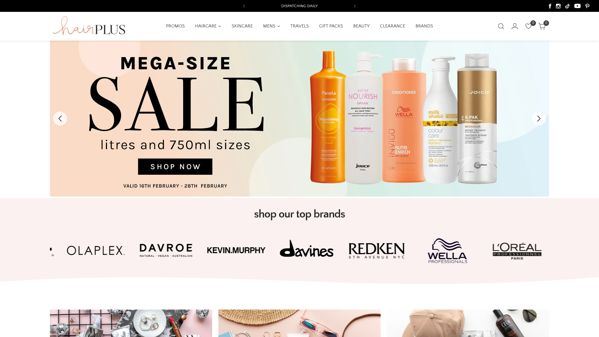 Website snapshot for Hair Plus