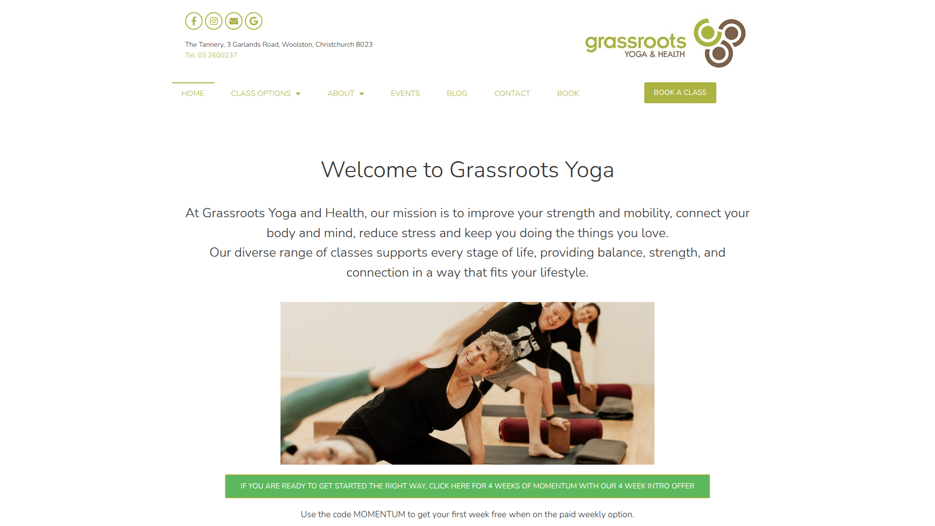 Website snapshot for Grassroots Yoga & Health