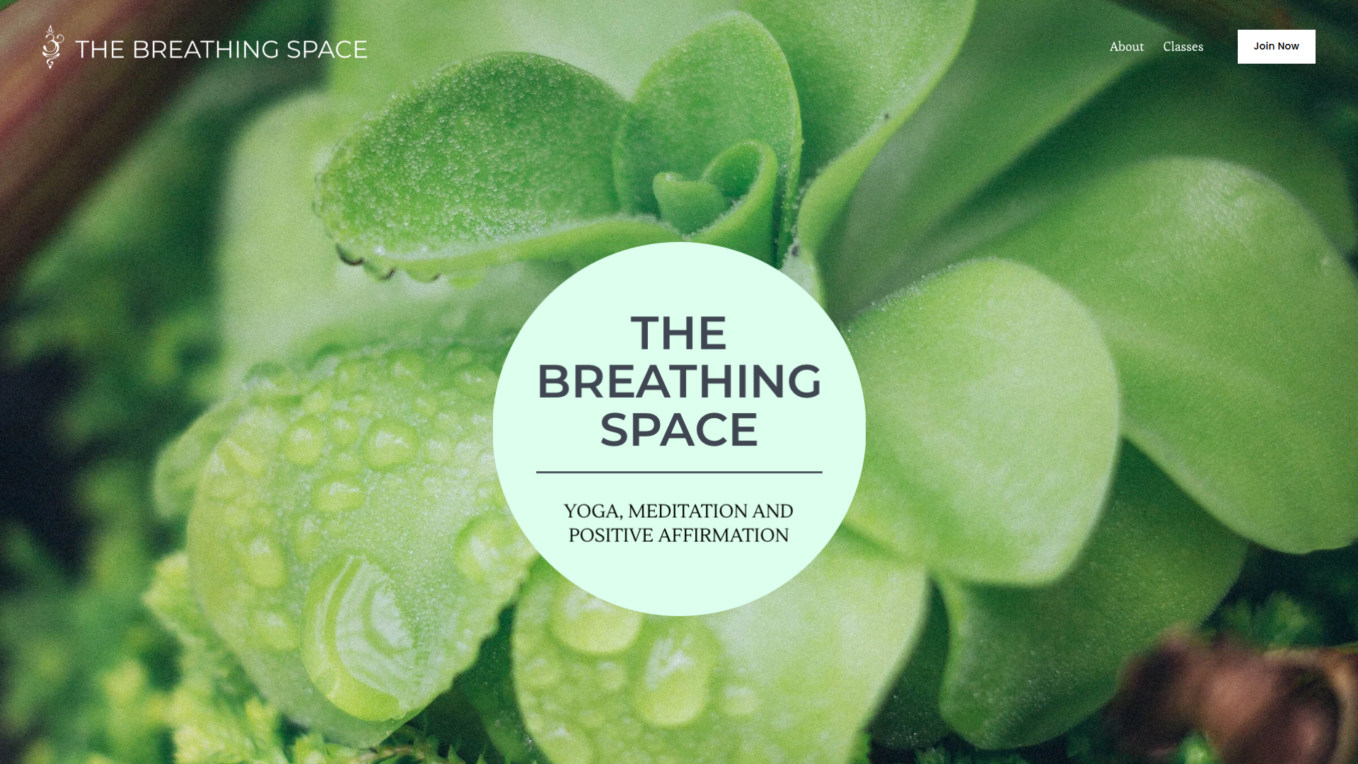 Website snapshot for The Breathing Space