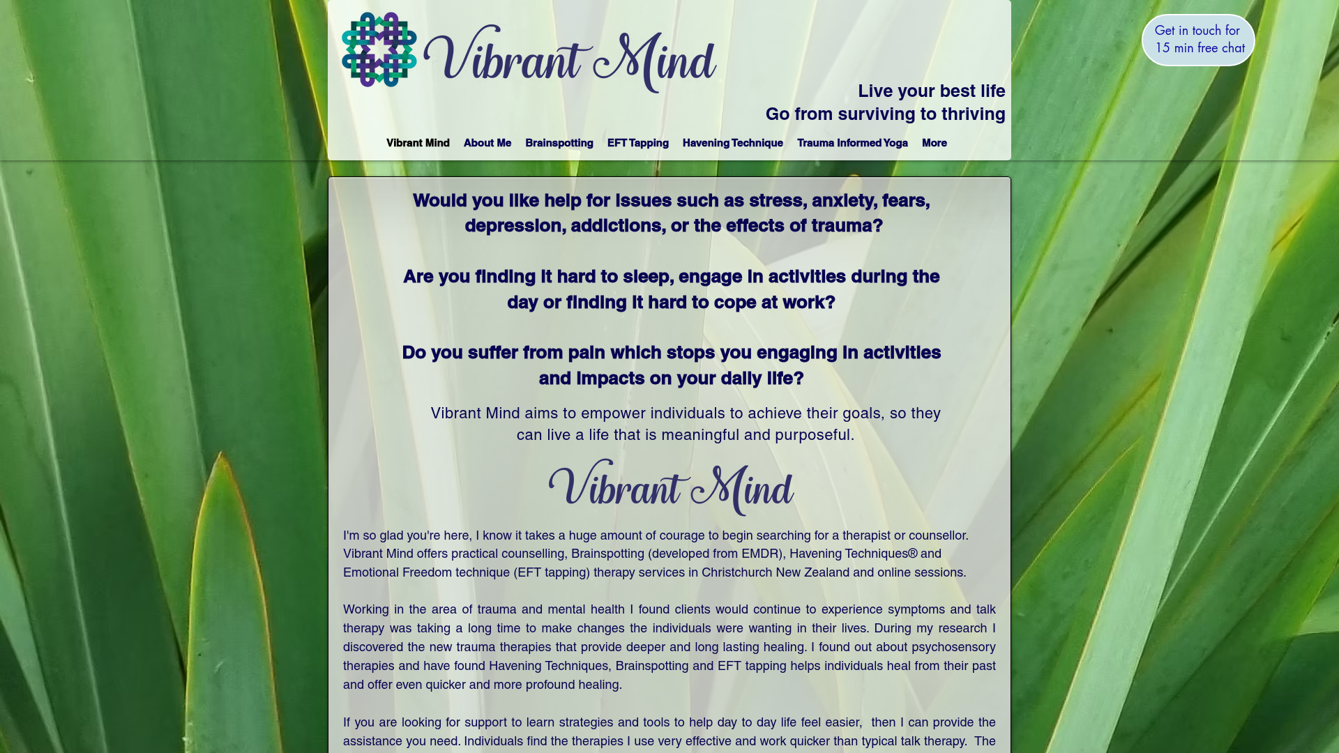 Website snapshot for Vibrant Mind