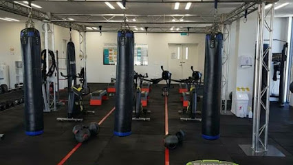 Culture Fitness
