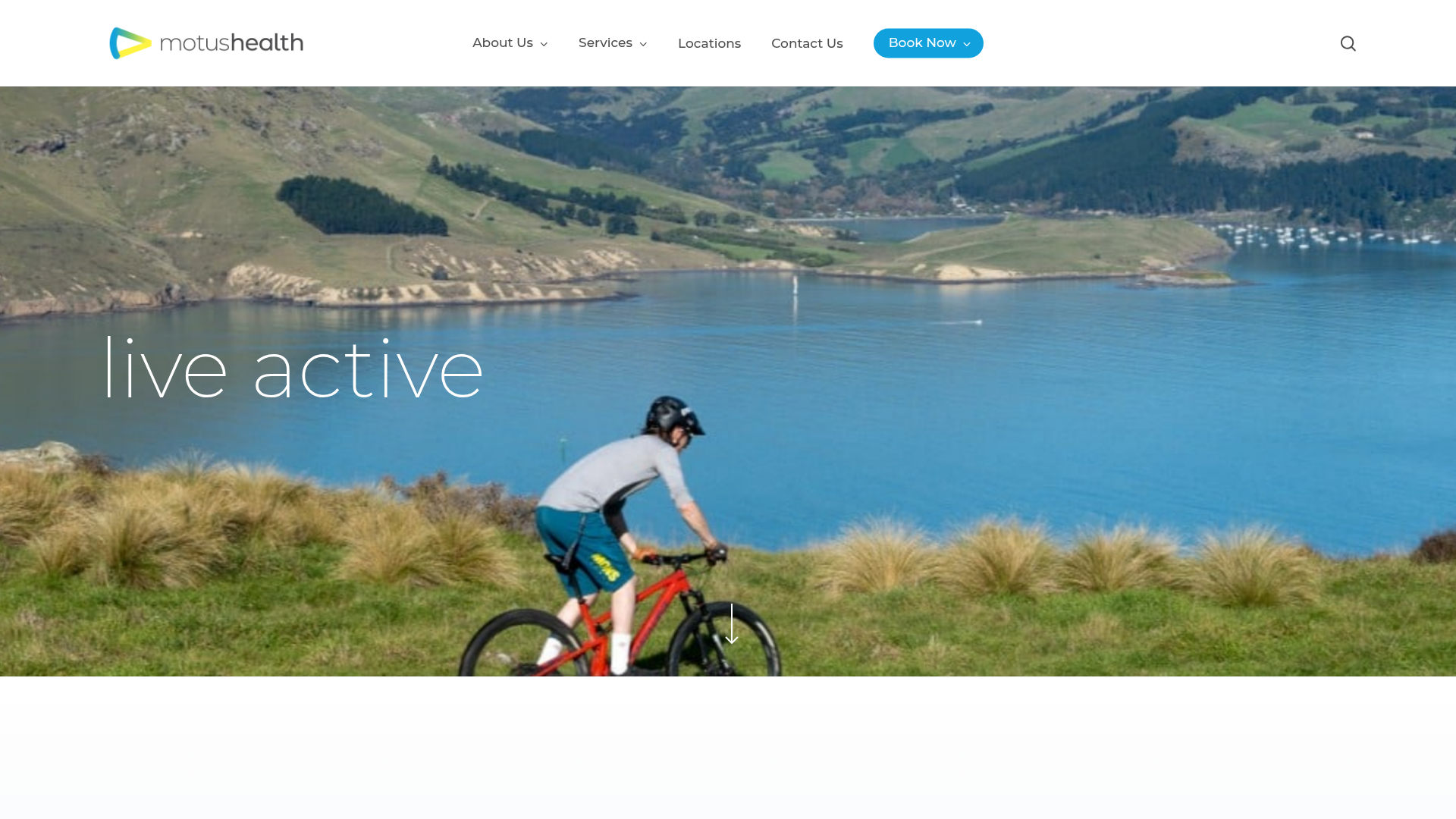 Website snapshot for Motus Lyttelton Physiotherapy