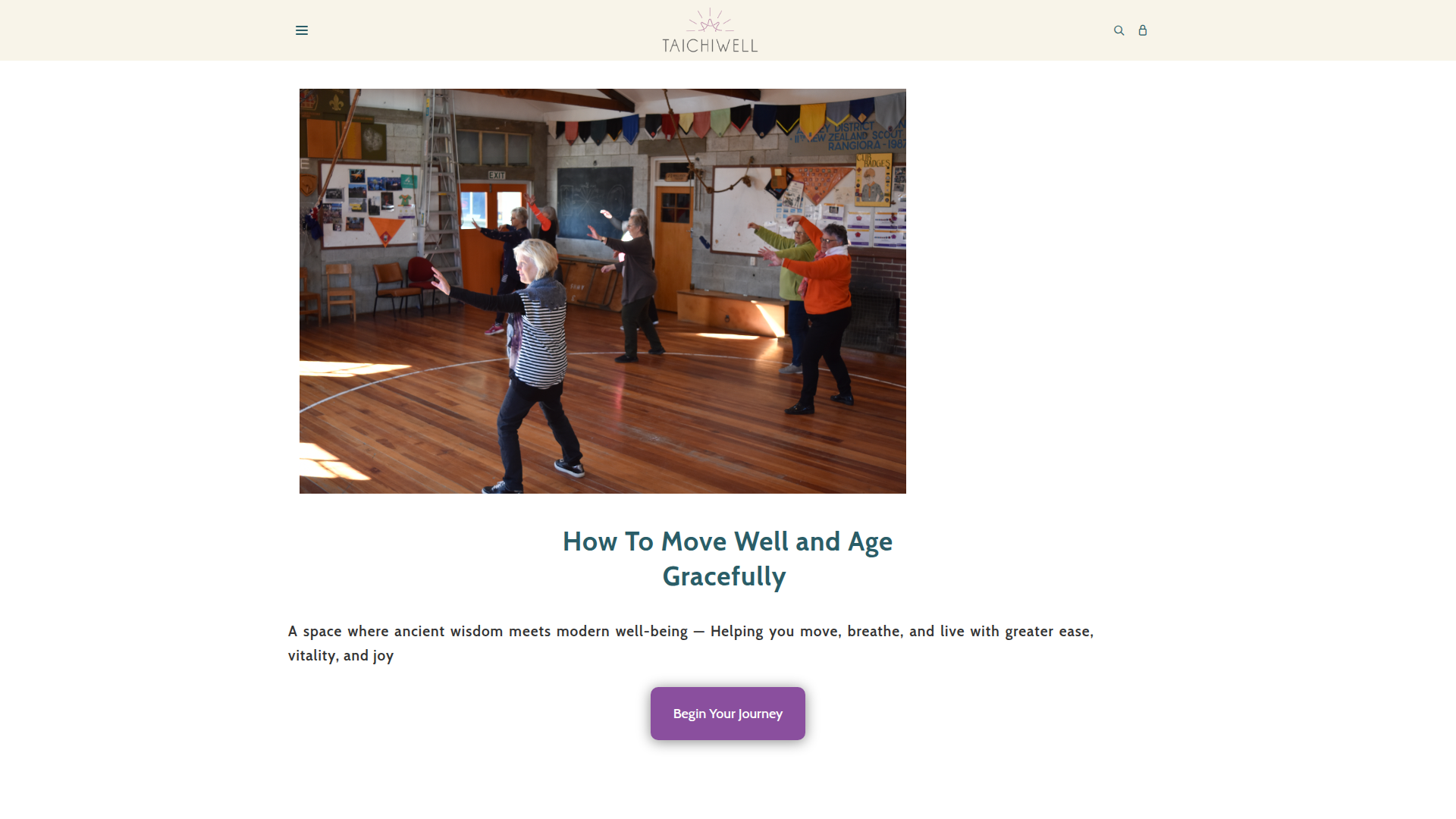 Website snapshot for Tai Chi Well