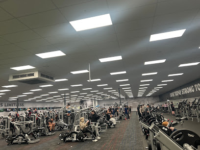 Cityfitness The Palms