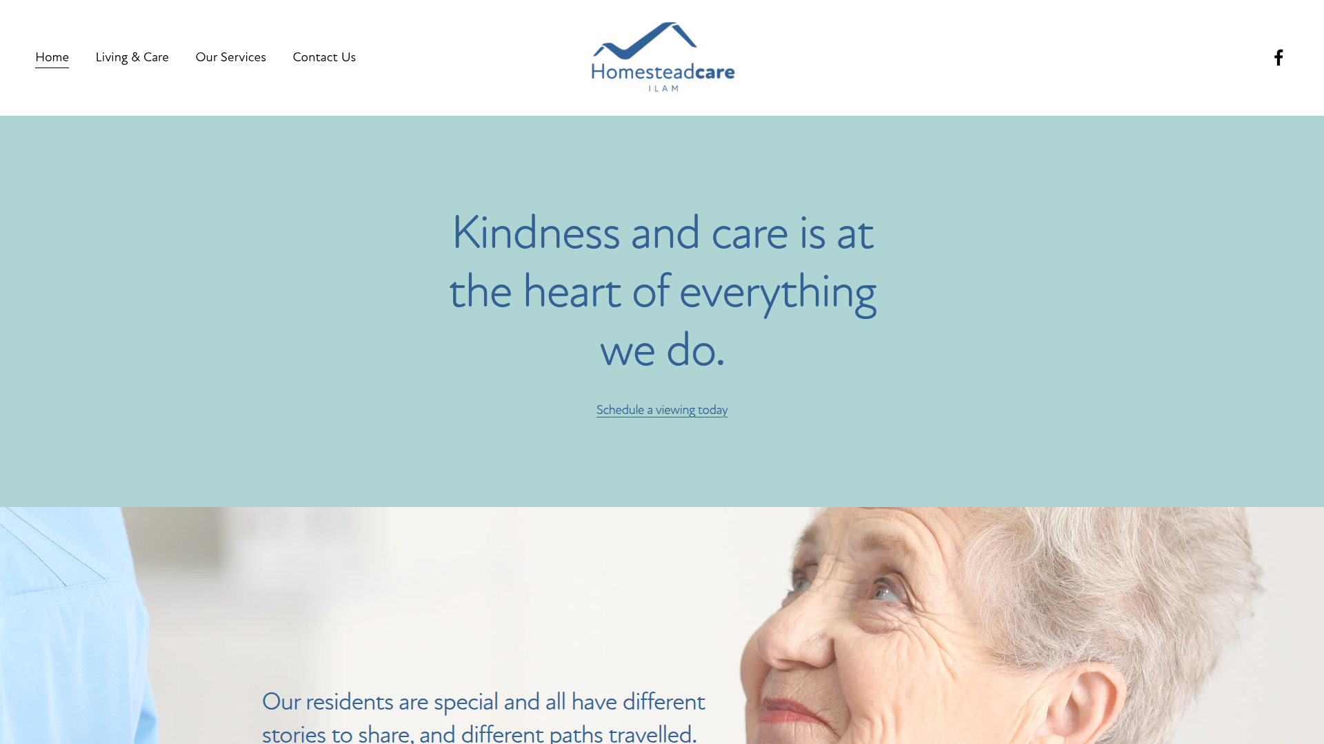 Website snapshot for HomesteadCare Ilam