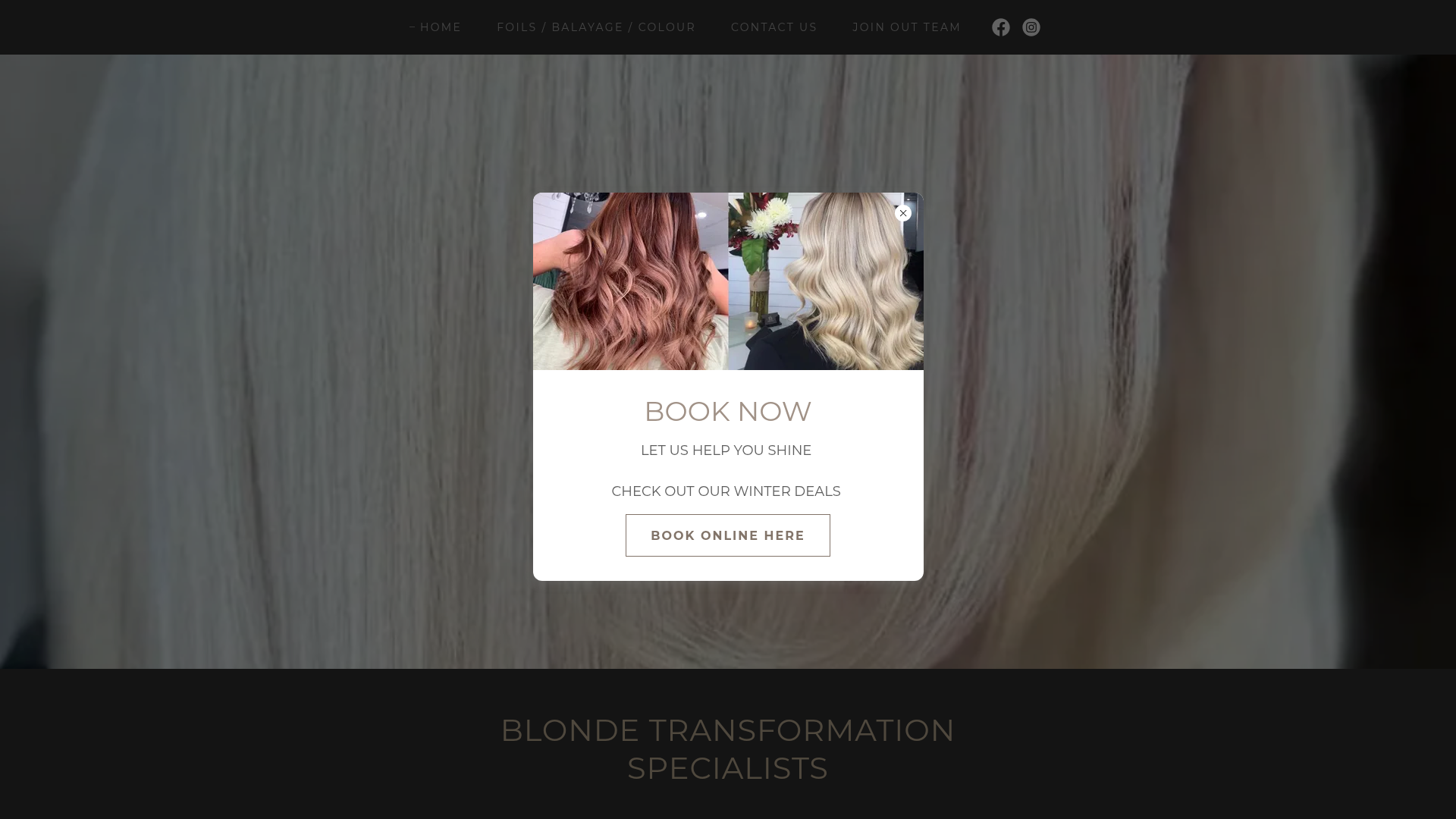 Website snapshot for The Salon Collective