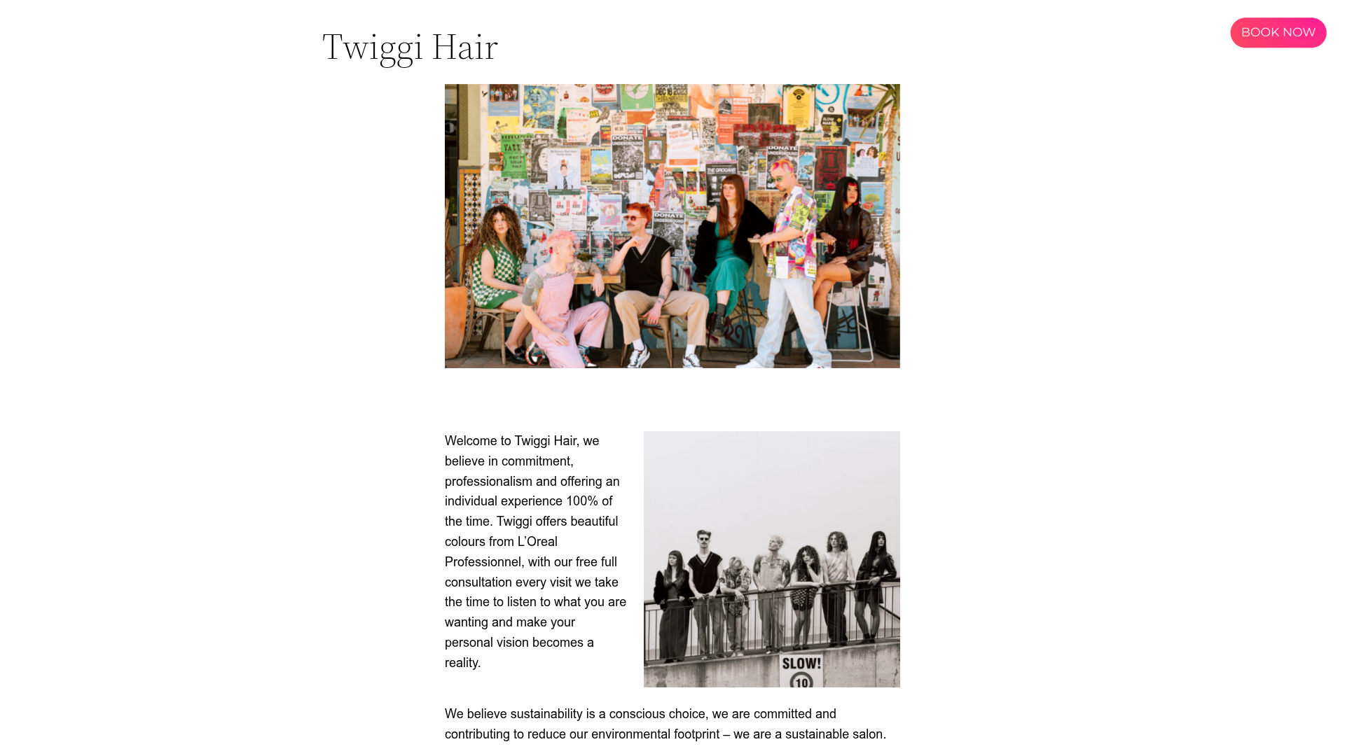 Website snapshot for Twiggi Hair