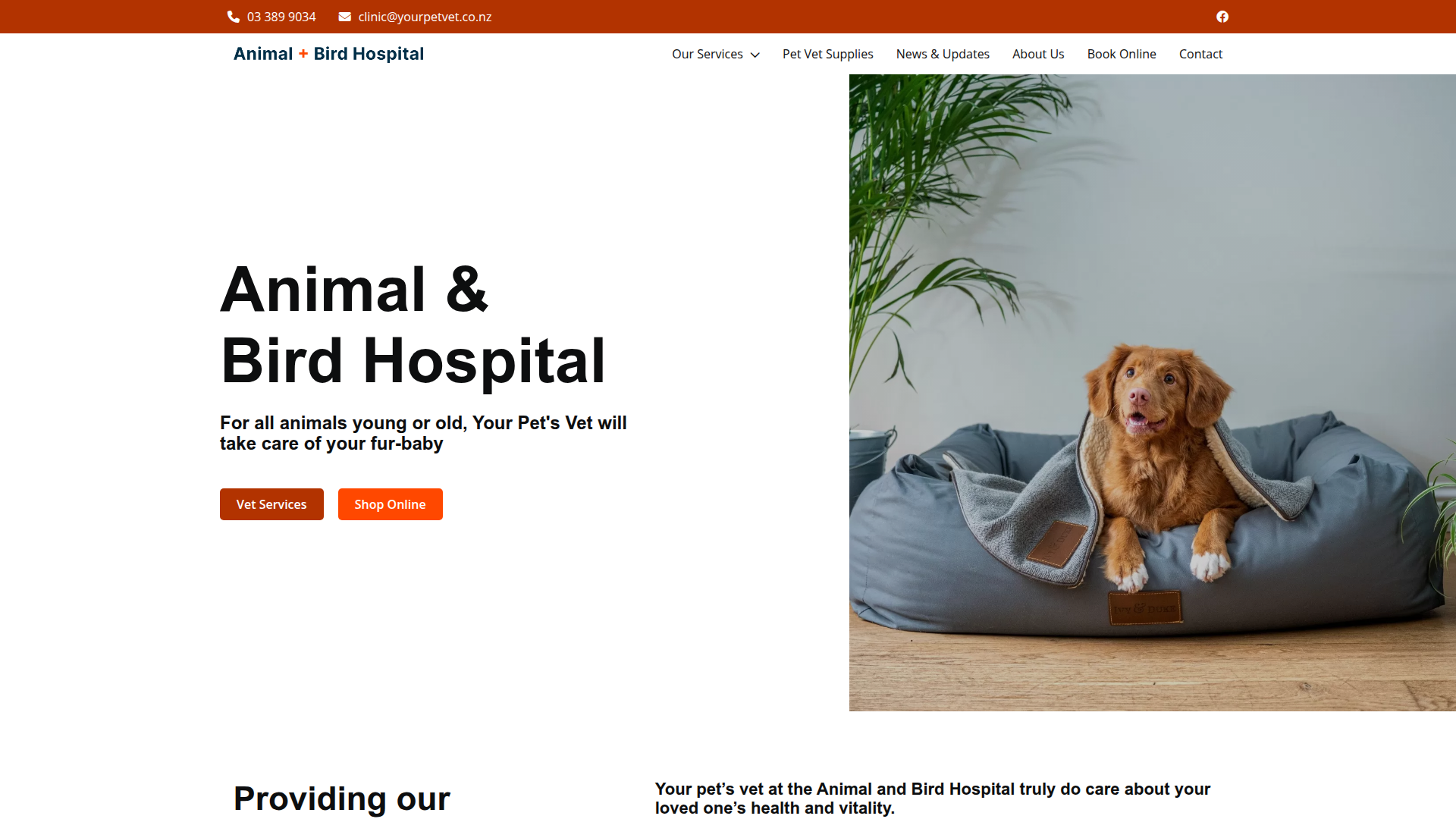 Website snapshot for Animal and Bird Hospital