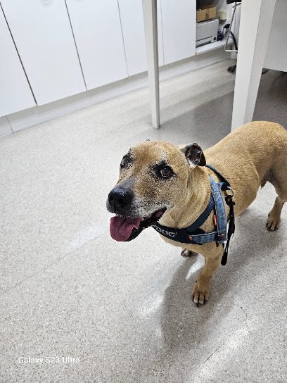 Avonside-Wainoni Veterinary Clinic