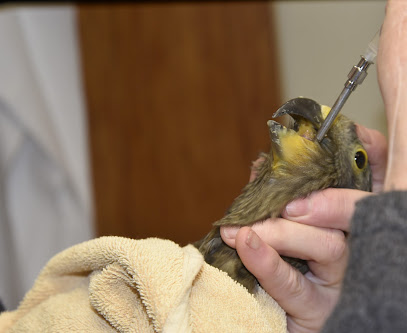 South Island Wildlife Hospital