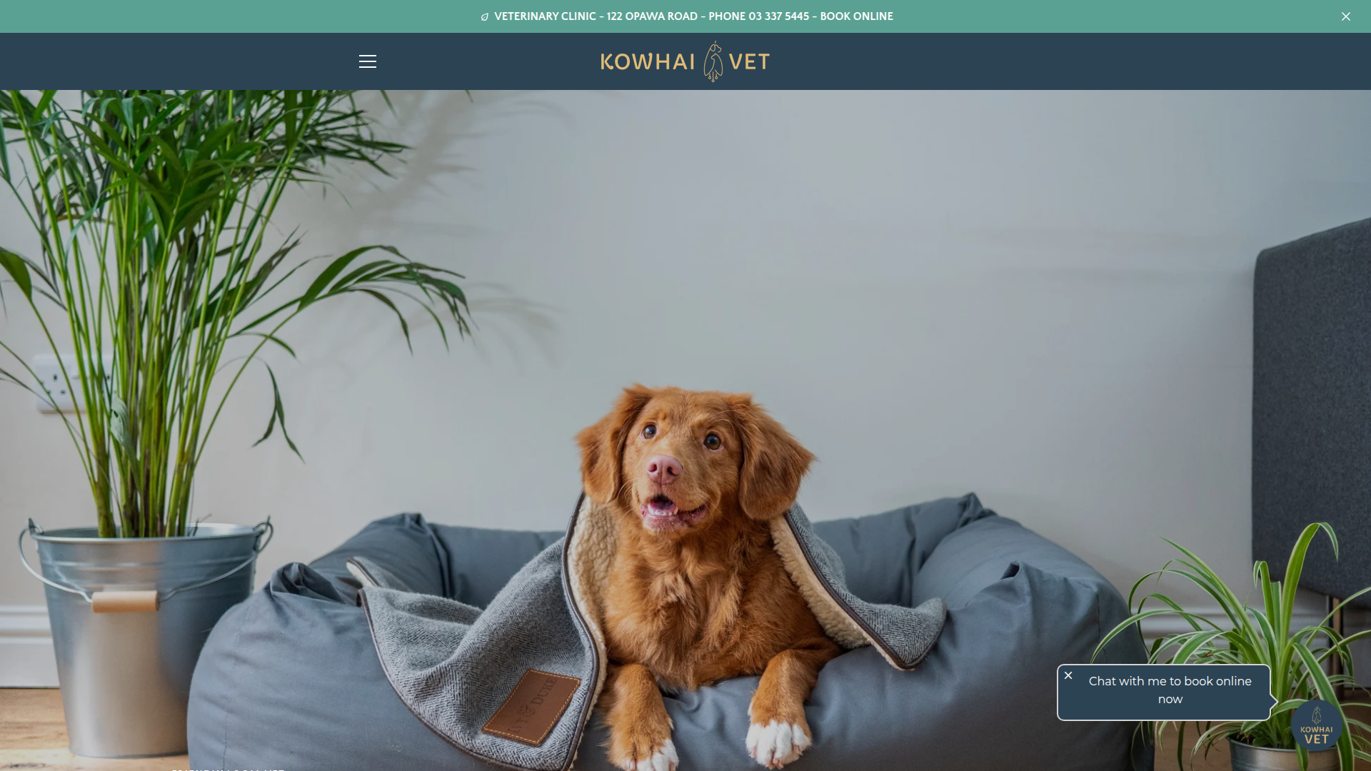 Website snapshot for Kowhai Vet