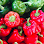 Johnny Fresh Yaldhurst Greengrocer