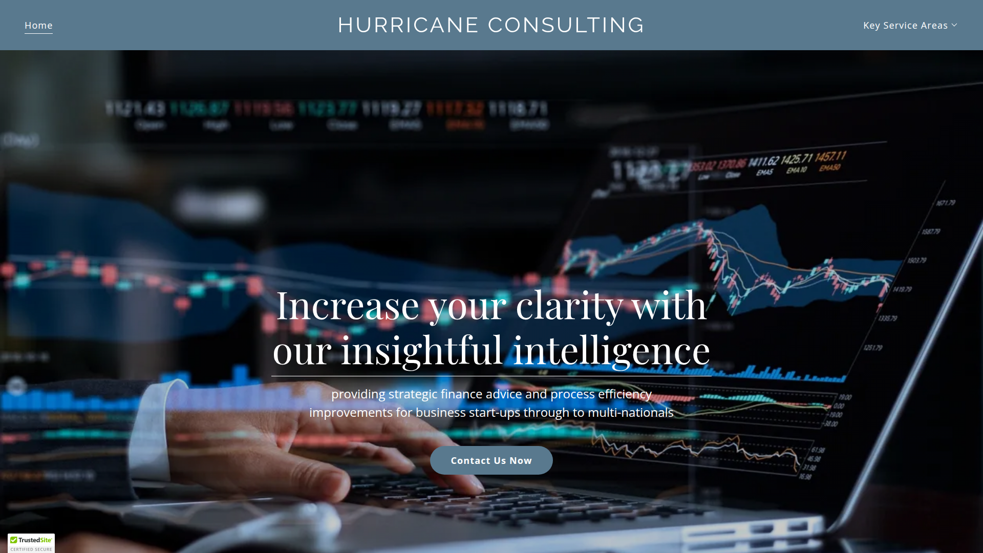 Website snapshot for Hurricane Consulting