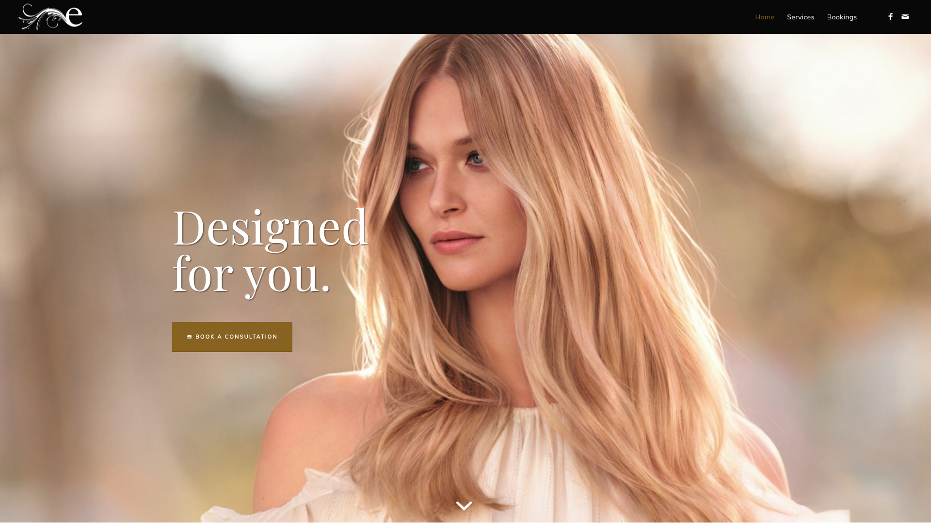 Website snapshot for Salon E