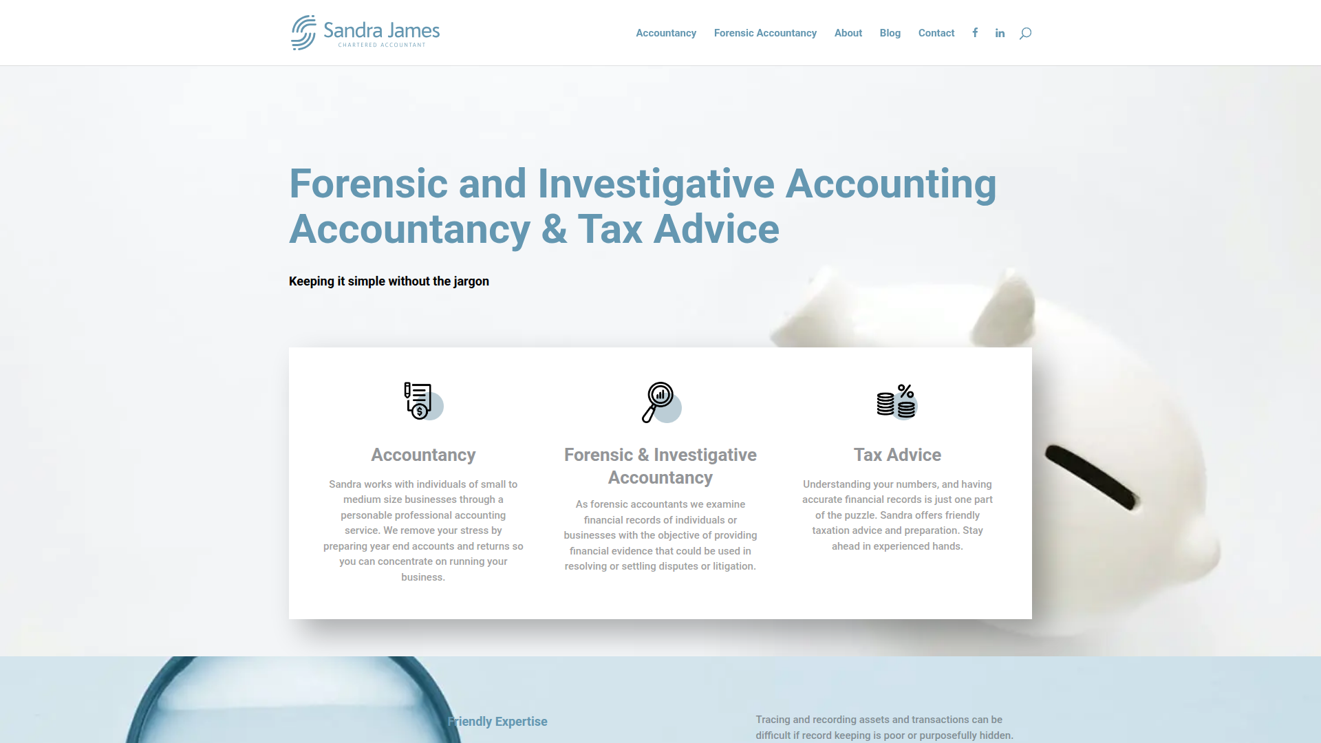 Website snapshot for Sandra James Chartered Accountant