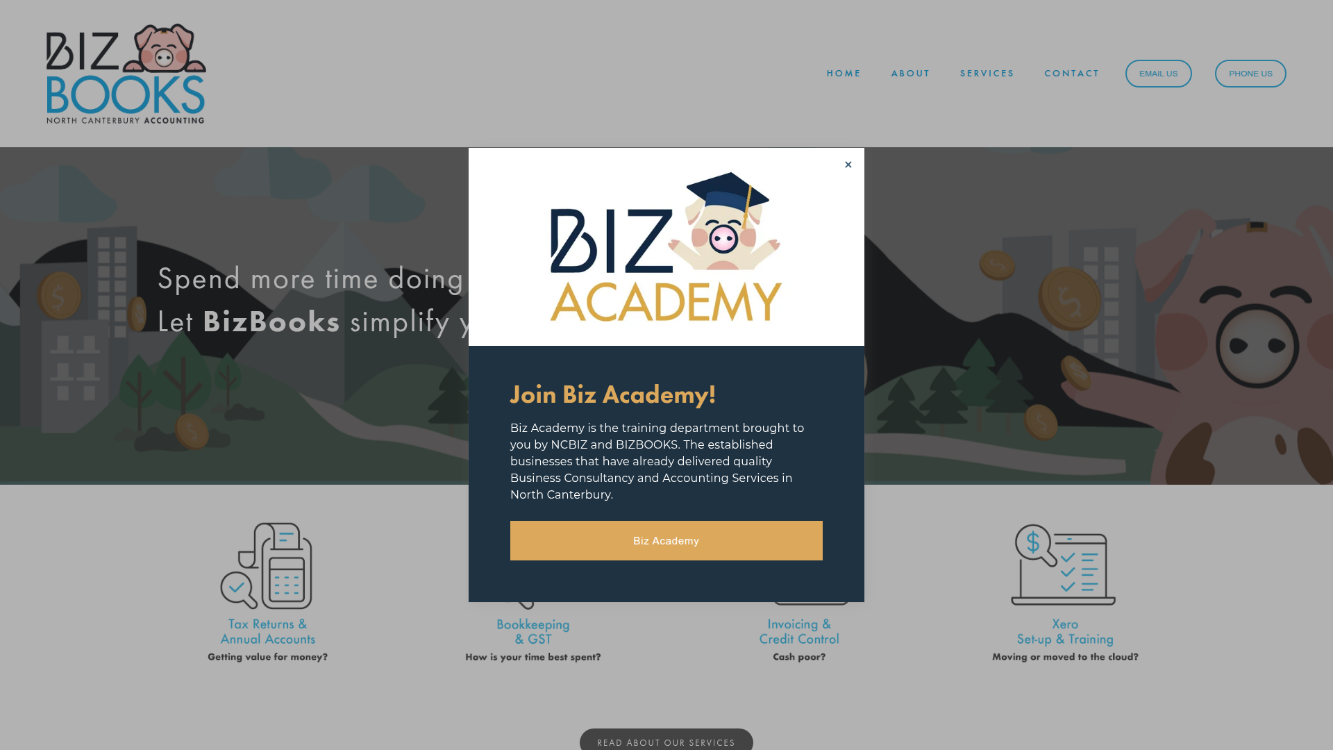 Website snapshot for BizBooks