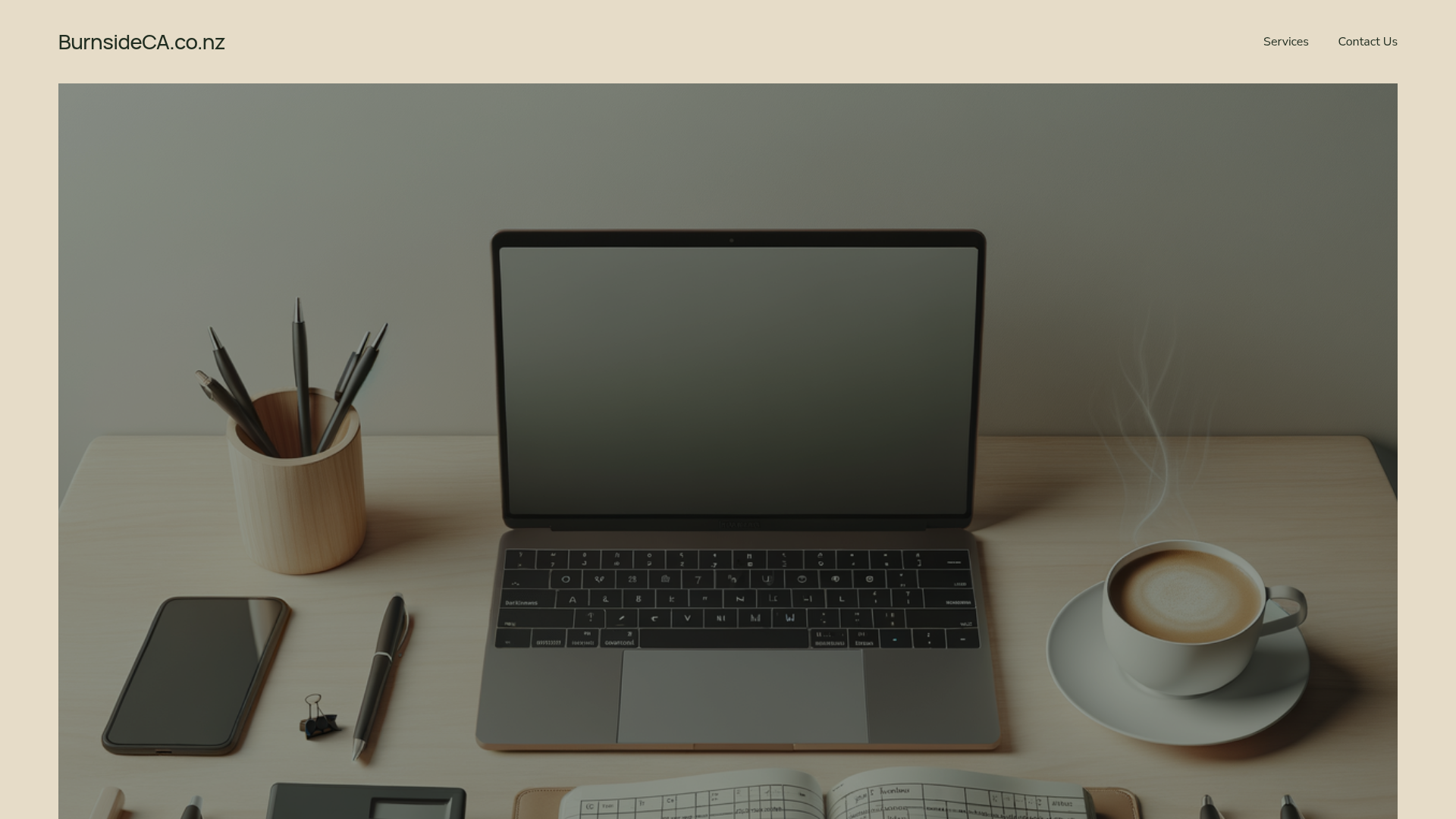 Website snapshot for Burnside Chartered Accountants