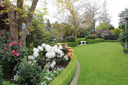 Onsite Landscape Design & Consultations