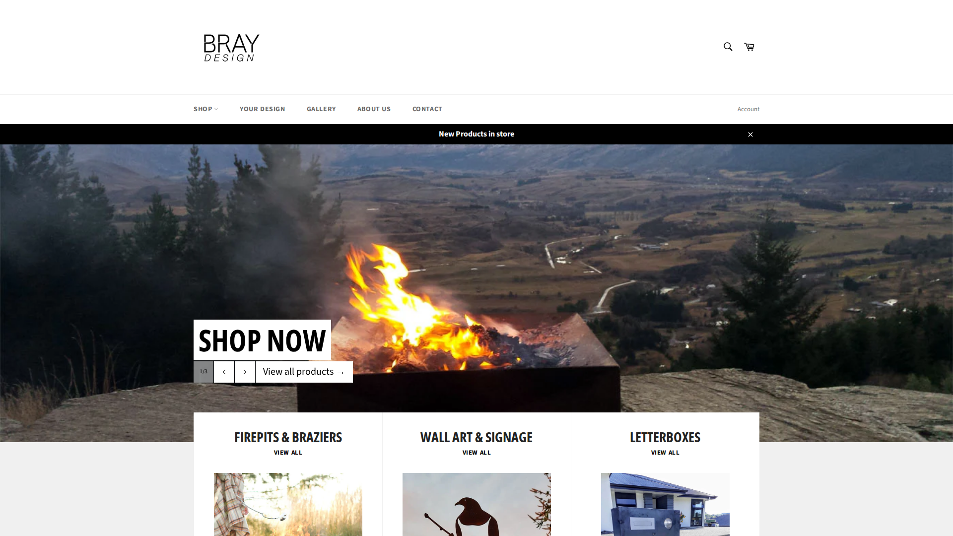 Website snapshot for Bray Design