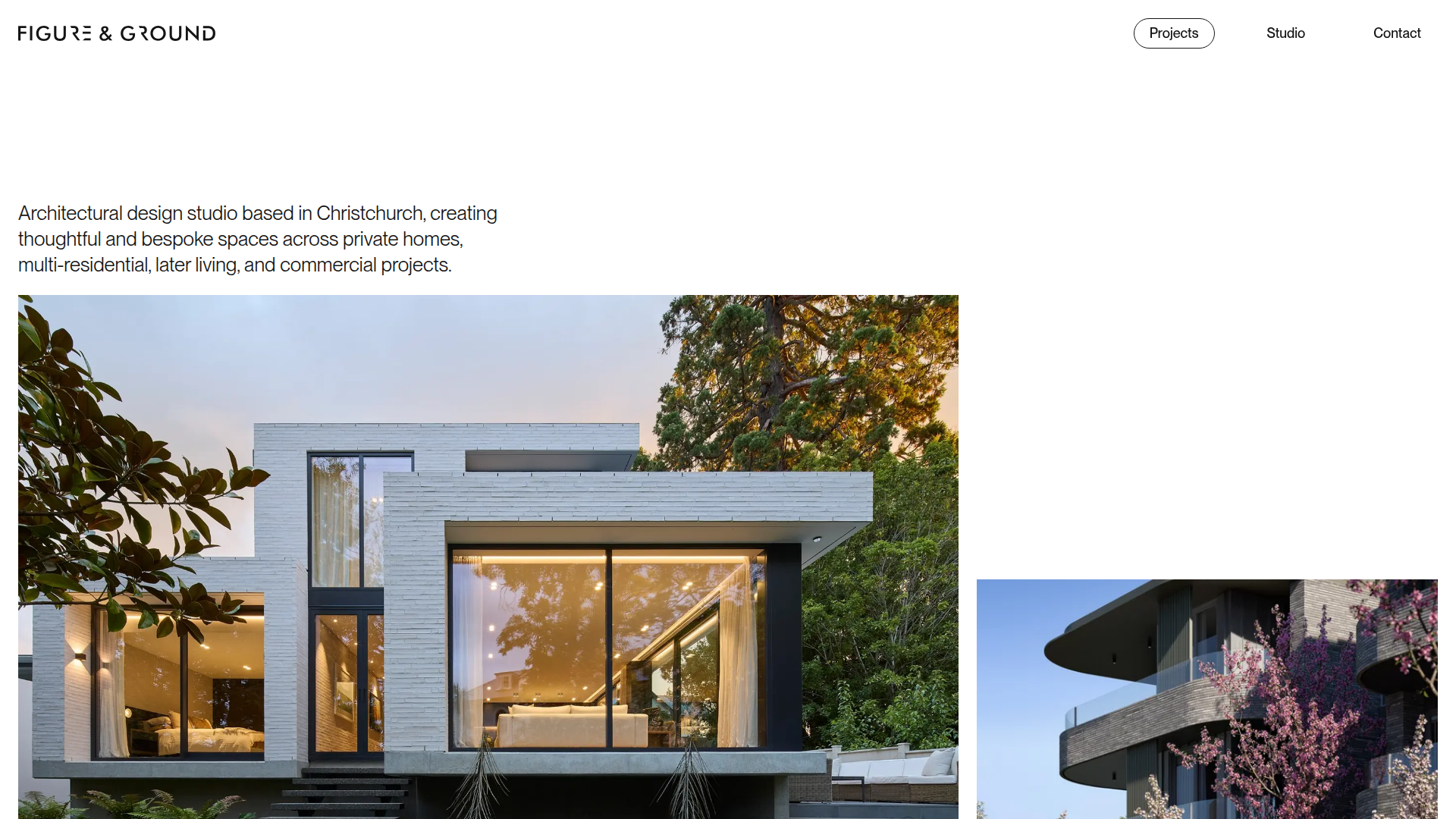 Website snapshot for Figure & Ground