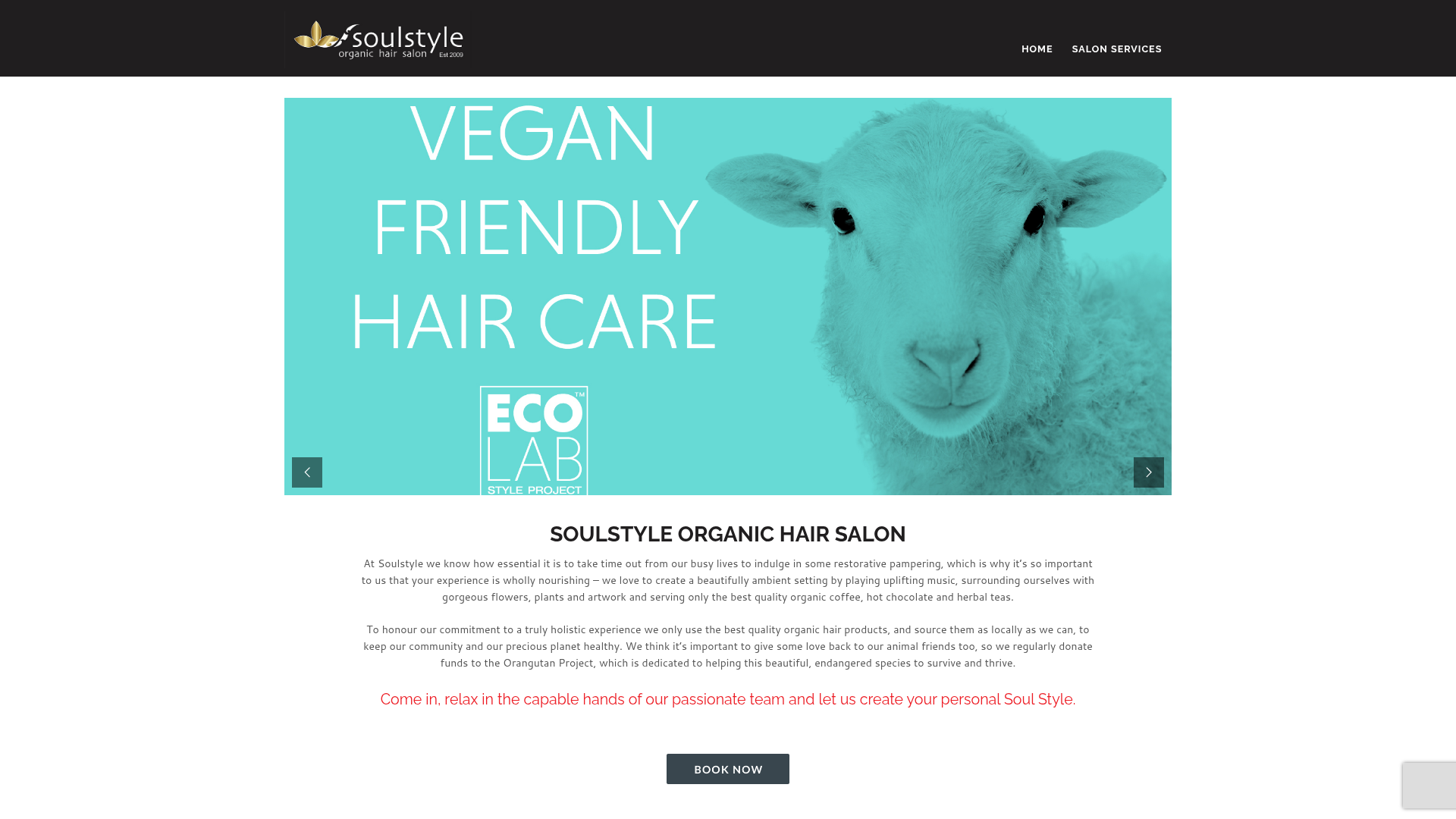 Website snapshot for Soulstyle Organic Hair Salon