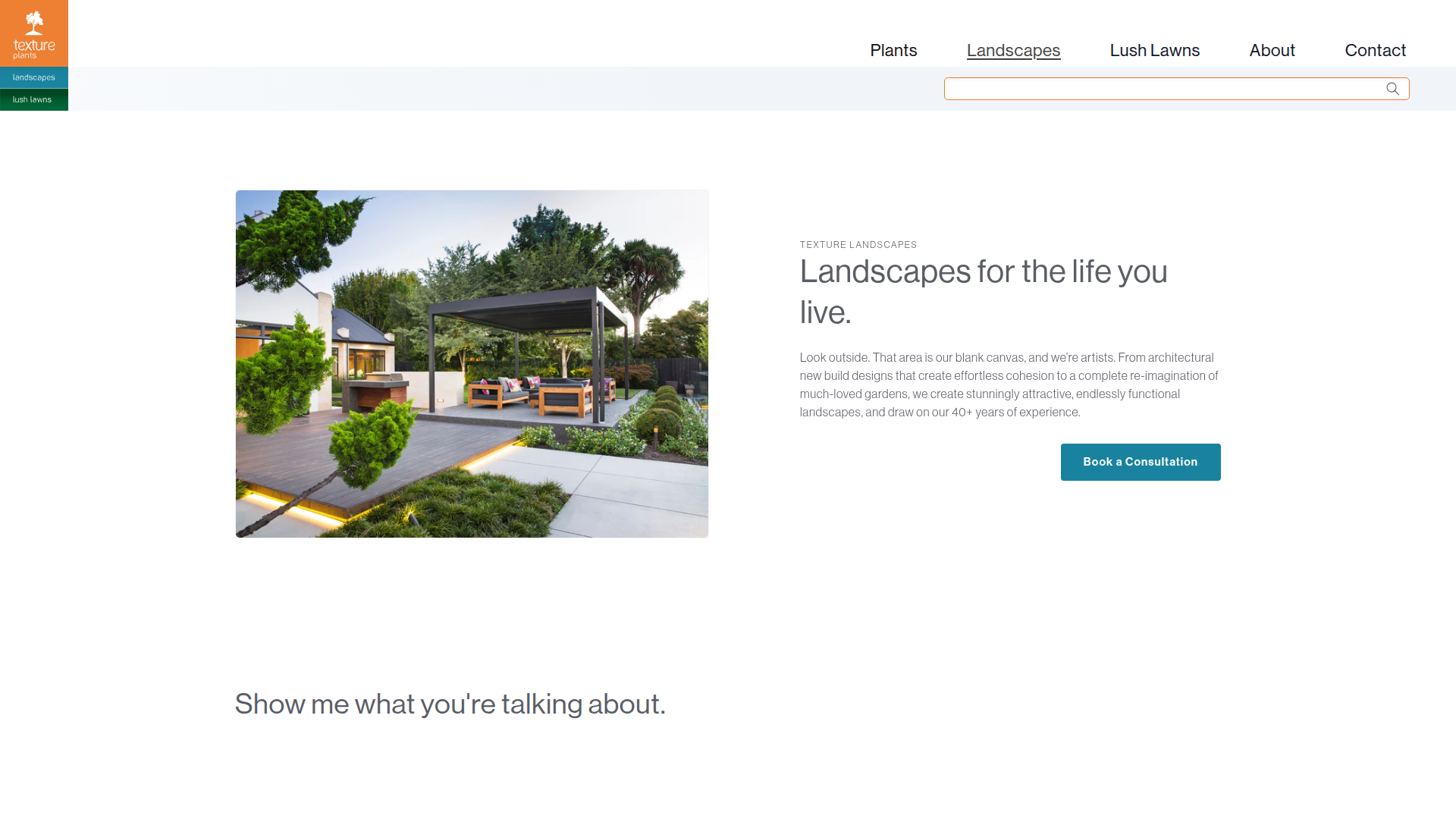 Website snapshot for Texture Landscapes