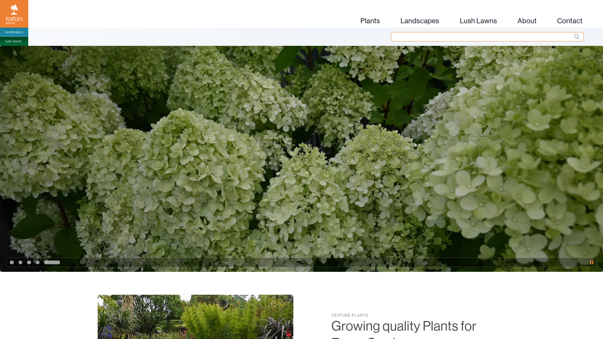 Website snapshot for Texture Plants