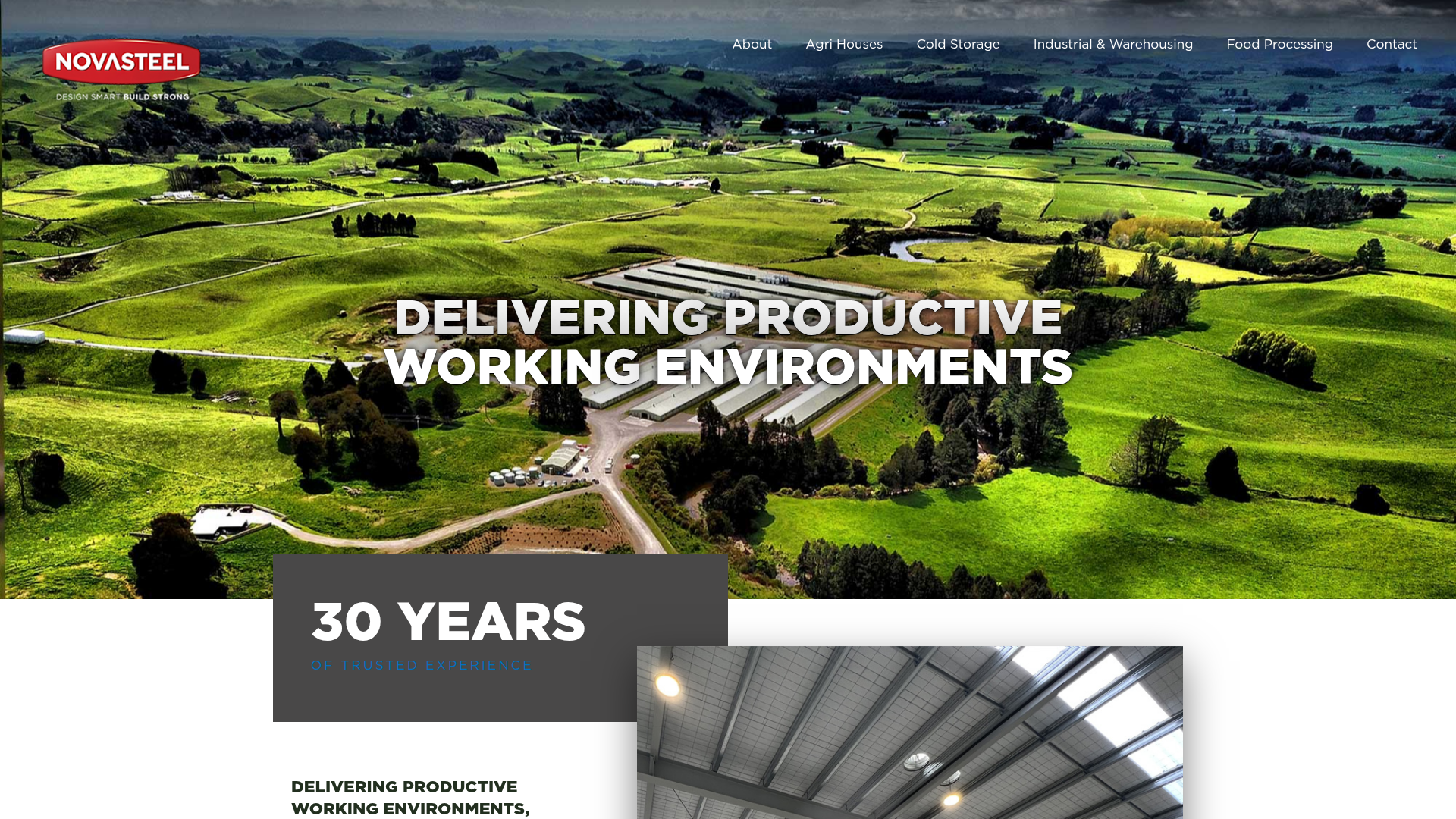 Website snapshot for Novasteel Ltd