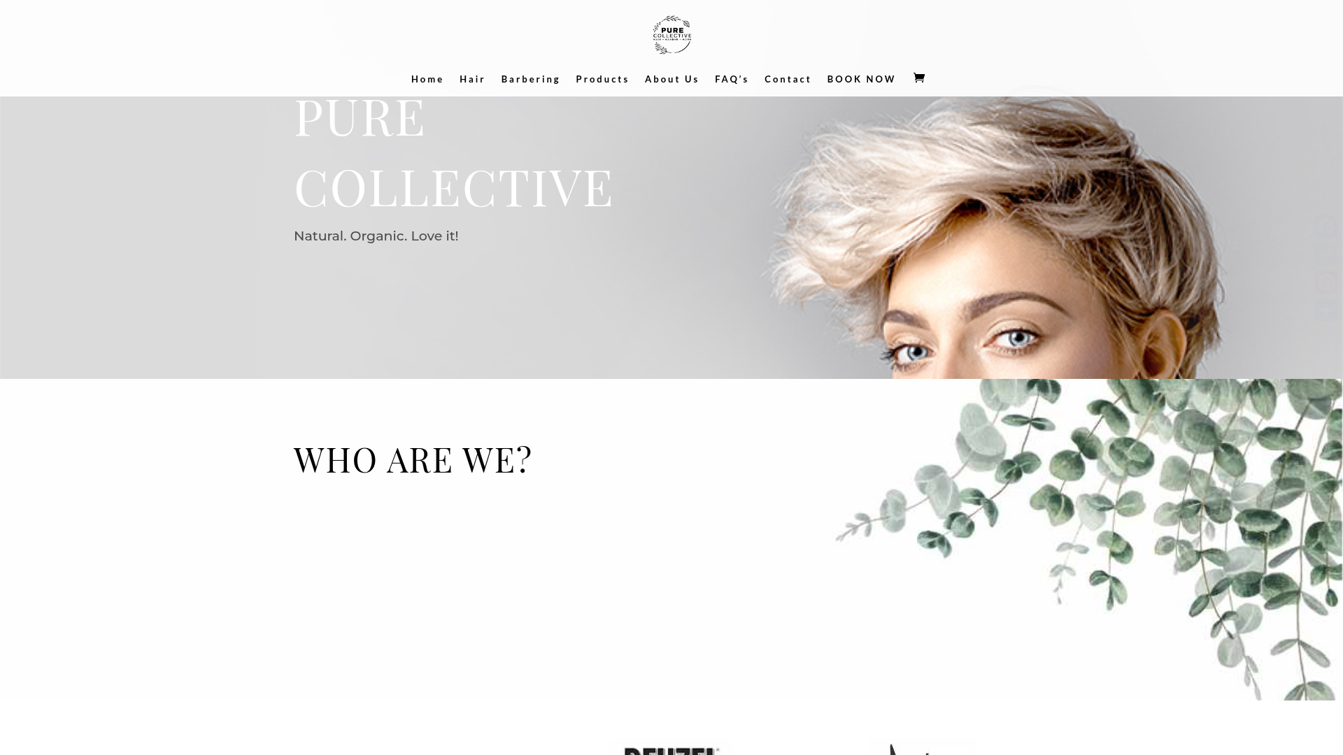 Website snapshot for Pure Collective — Rolleston