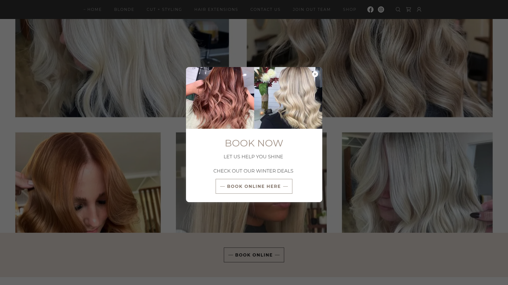 Website snapshot for The Salon Collective