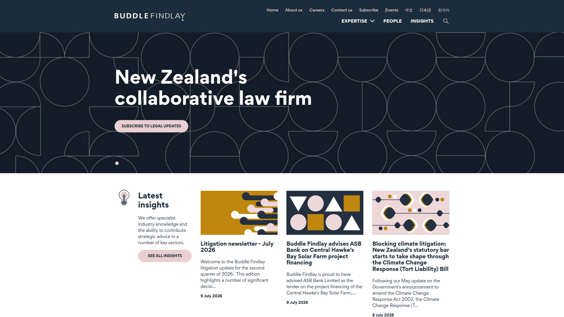 Website snapshot for Buddle Findlay