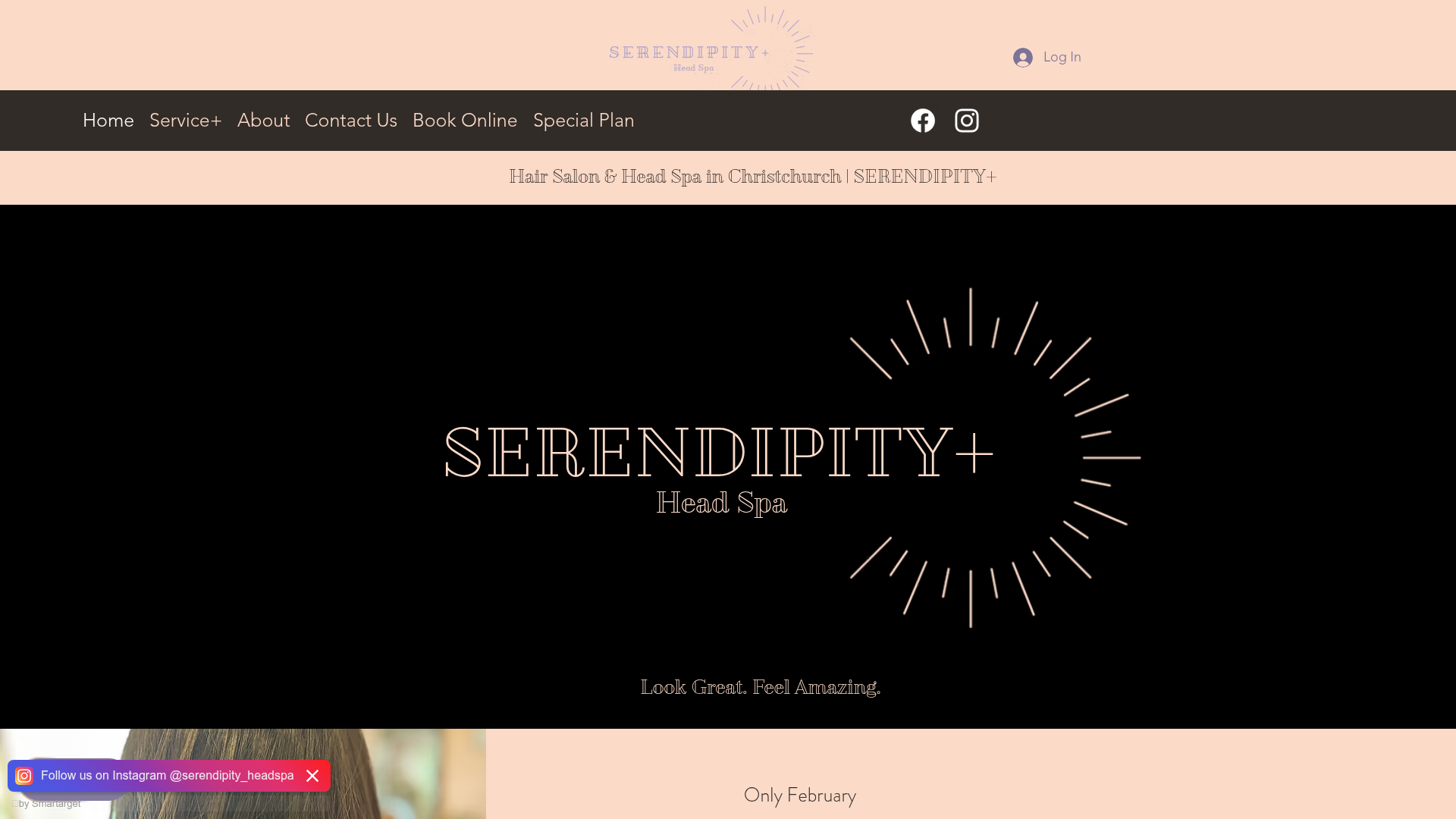 Website snapshot for SERENDIPITY+