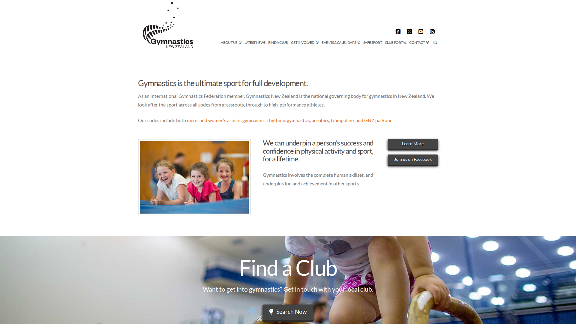 Website snapshot for Madisons For Hair