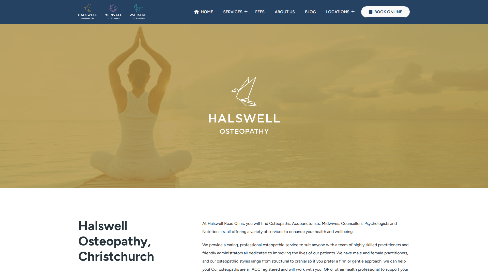Website snapshot for Halswell Rd Clinic Ltd