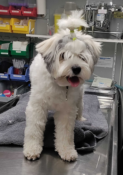 Northlands Animal Care Hospital