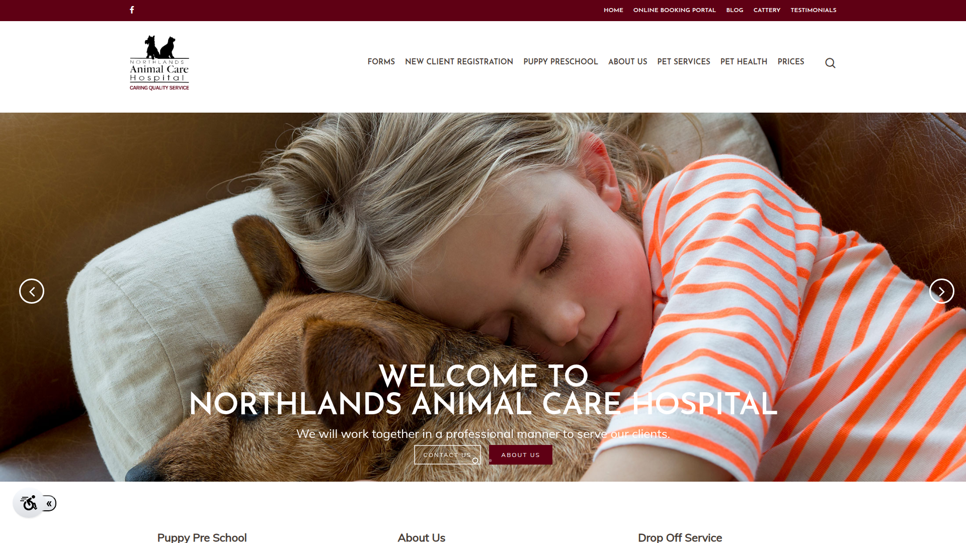 Website snapshot for Northlands Animal Care Hospital