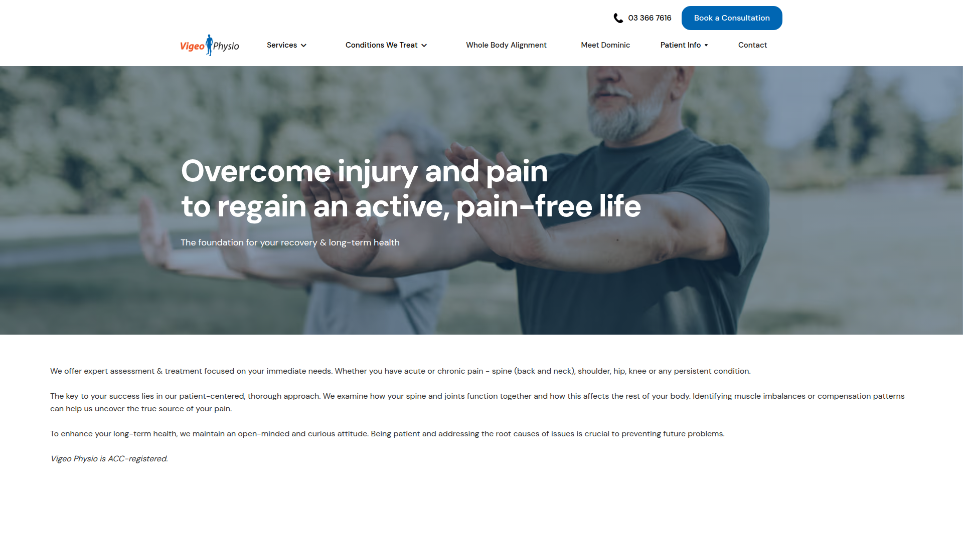 Website snapshot for Vigeo Physio