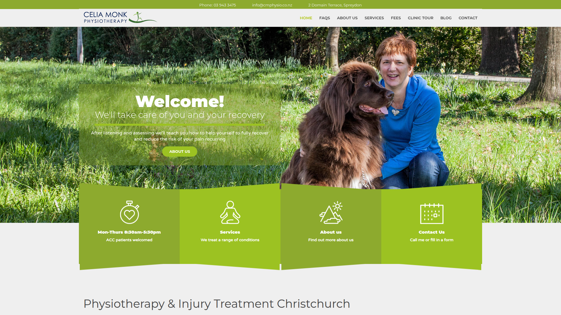 Website snapshot for Celia Monk Physiotherapy